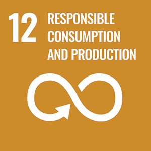 Goal 12 - Responsible Consumption Production