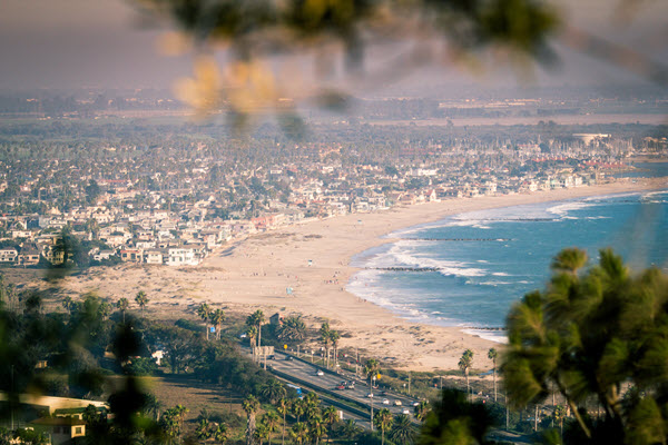 View of the beach through the trees.
