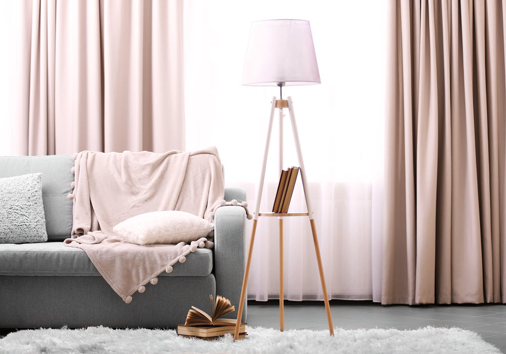 Living room with sofa, rug, and floor lamp. 