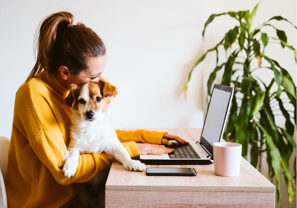 Woman cuddling dog at her home office in bedroom.