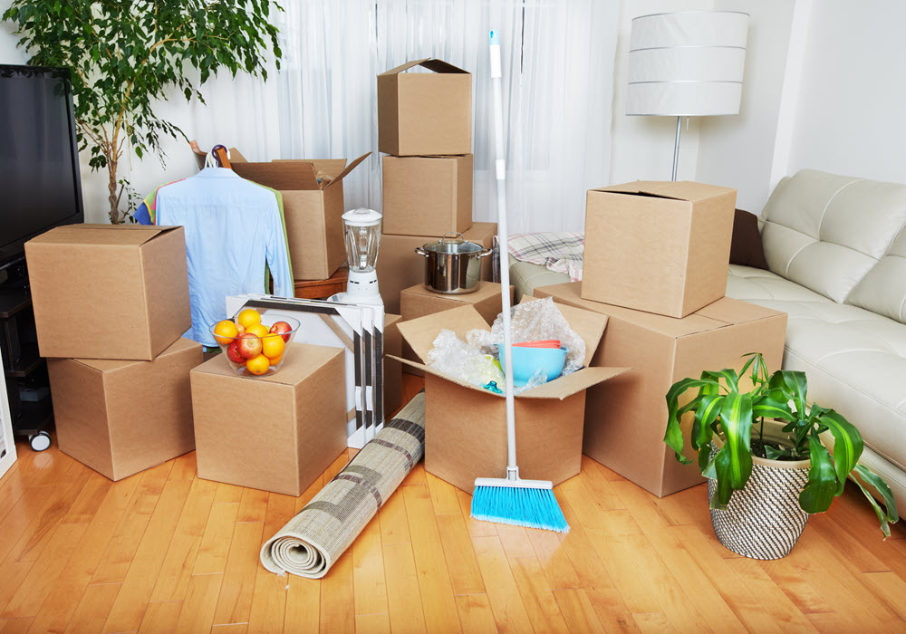 Cleaning tools and moving boxes in an apartment living room.