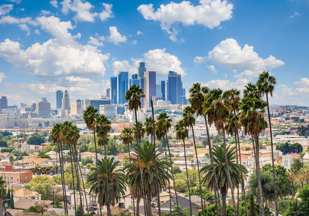 Los Angeles overview featuring palm trees.