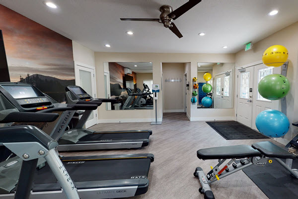 Monterra in Mill Creek - Amenities