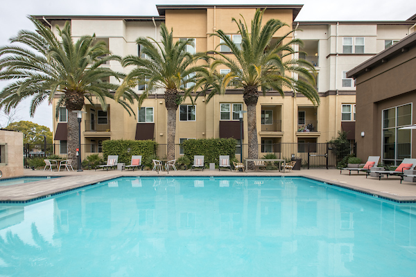 Outdoor swimming pool surrounded by lounge eating and palm trees.