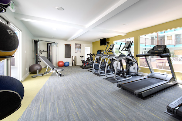 Fitness center with cardio and strength training equipment.